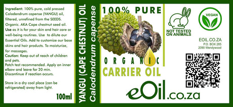 Yangu Carrier Seed Oil - Cape Chestnut - eOil.co.za