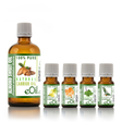 Aromatic Perfume - Roll On - Sweet Tangerine - Recipe Synergy - Feeling Good Collection - eOil.co.za