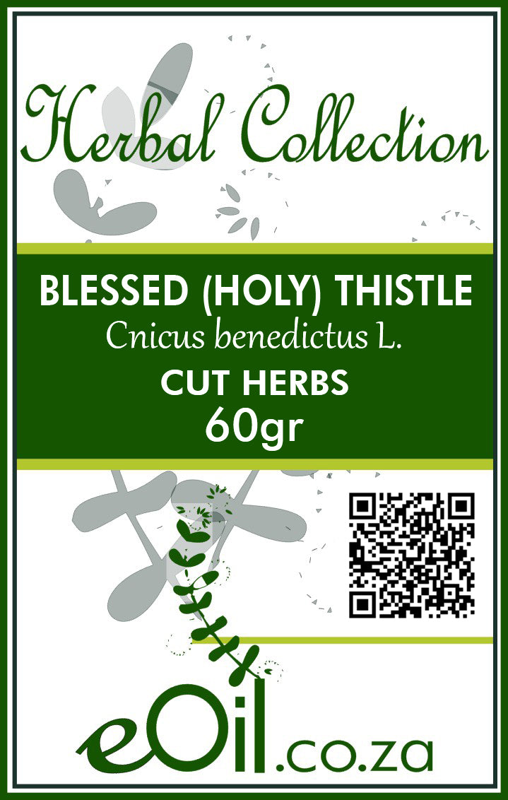 Holy ( Blessed ) Thistle dried herbs - eOil.co.za