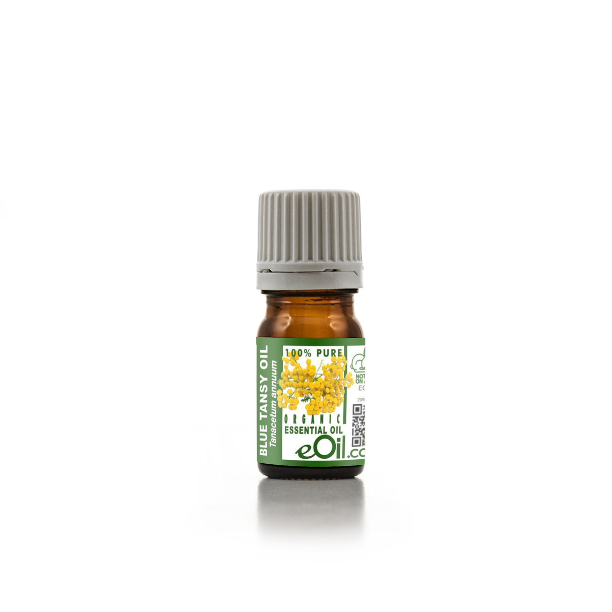 Blue Tansy Essential Oil Organic, soothing azulene oil for calming, skin, and wellness blends