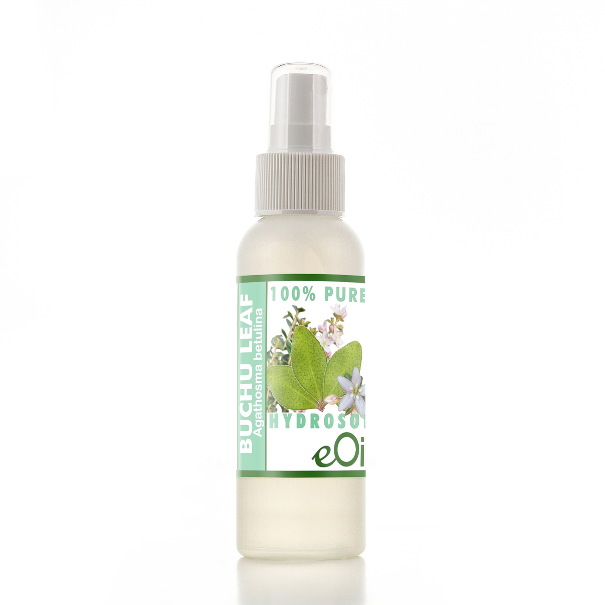 Buchu Hydrosol Organic