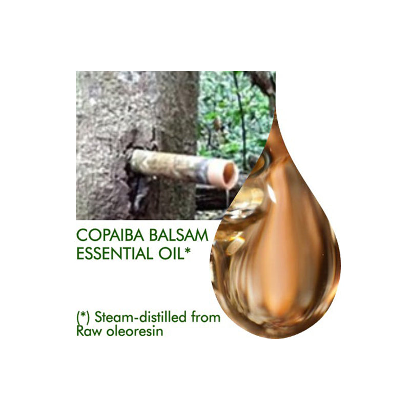 Copaiba Balsam Essential Oalcoholanic - eOil.co.za