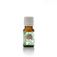 Cassia Essential Oil Organic, warm spicy-sweet oil for comfort, wellness, and immunity