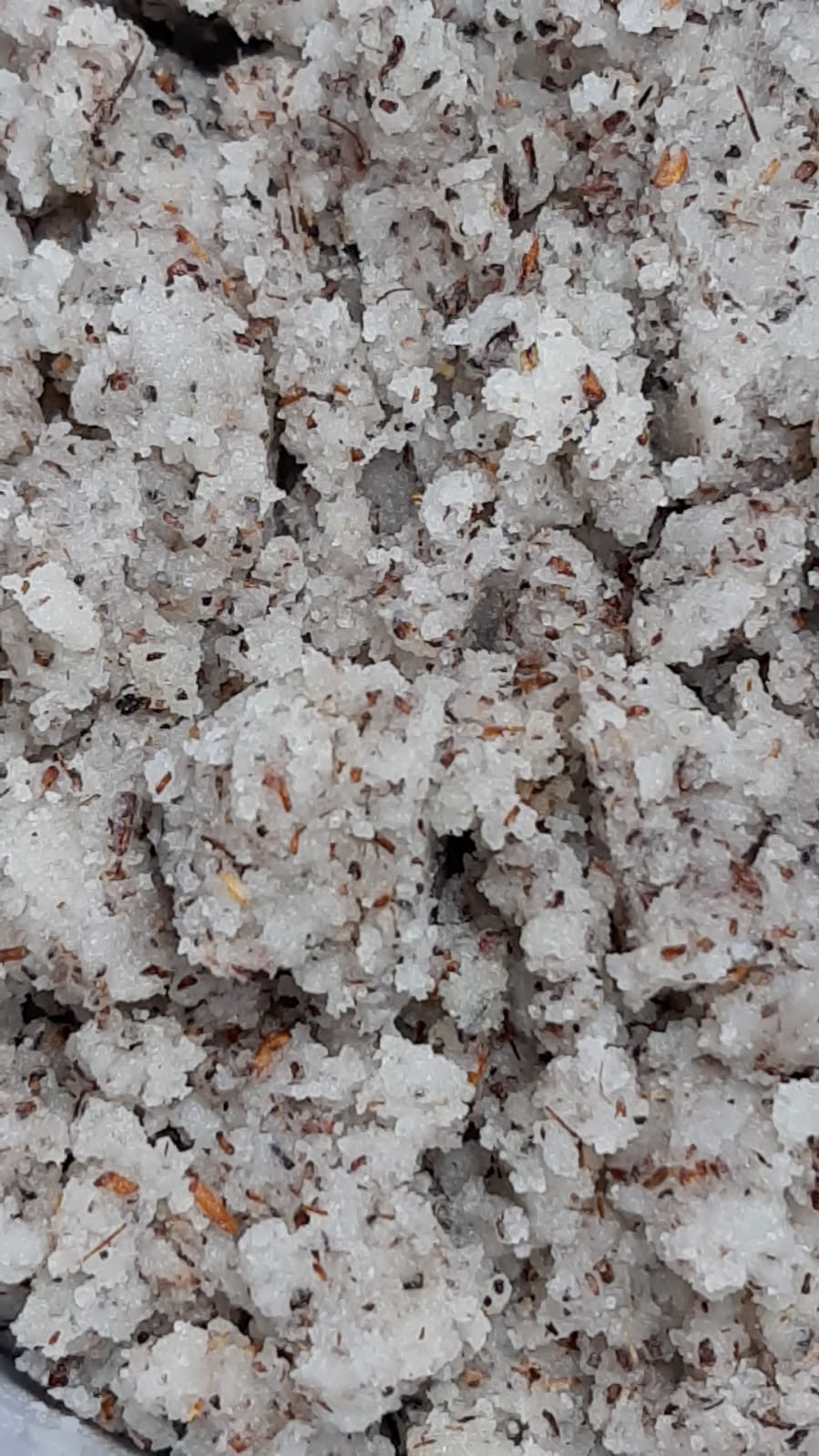 Cellulite and detox scrub - eOil.co.za