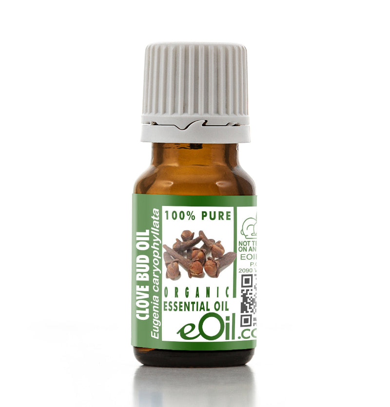 Bottle of clove bud essential oil with a green label on a white background