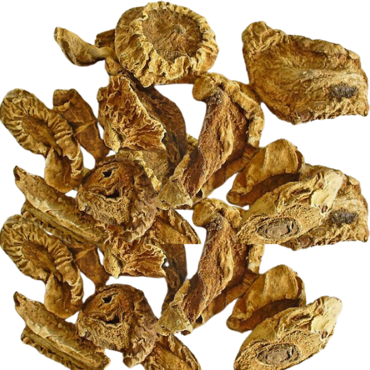 Devil's Claw Sliced Cut - Herbal Collection - eOil.co.za