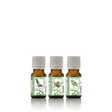 Essential oils assortment diffusion serene night - eOil.co.za