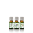 Essential oils assortment disinfectant well-being - eOil.co.za