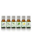 Essential oils assortment for beginners - eOil.co.za