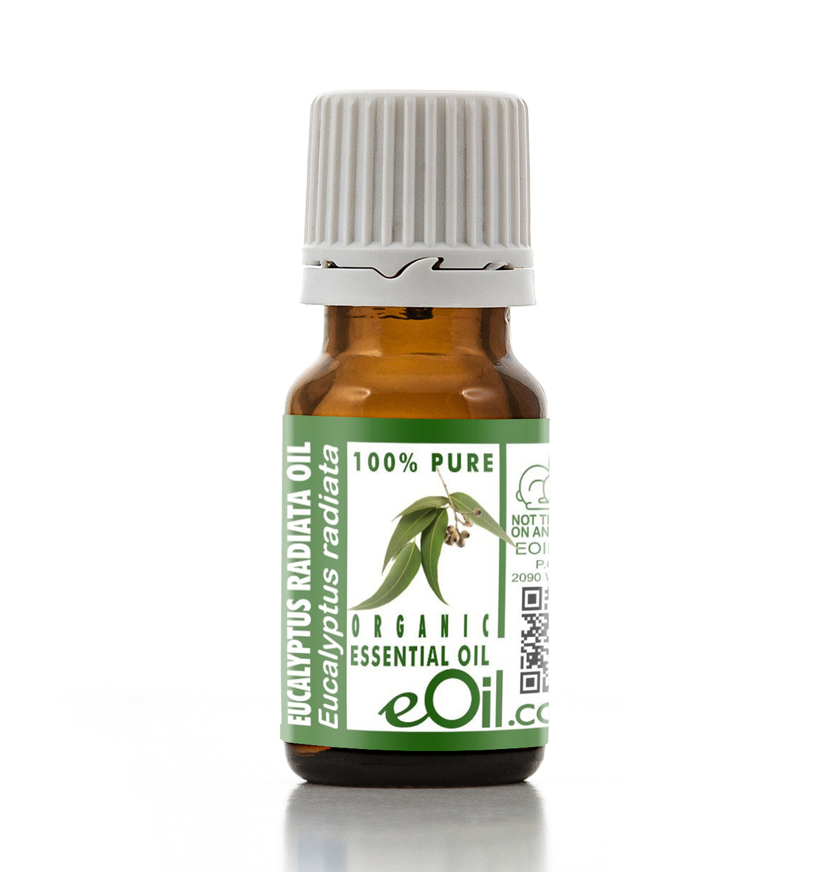 Bottle of eucalyptus essential oil with a green label on a white background
