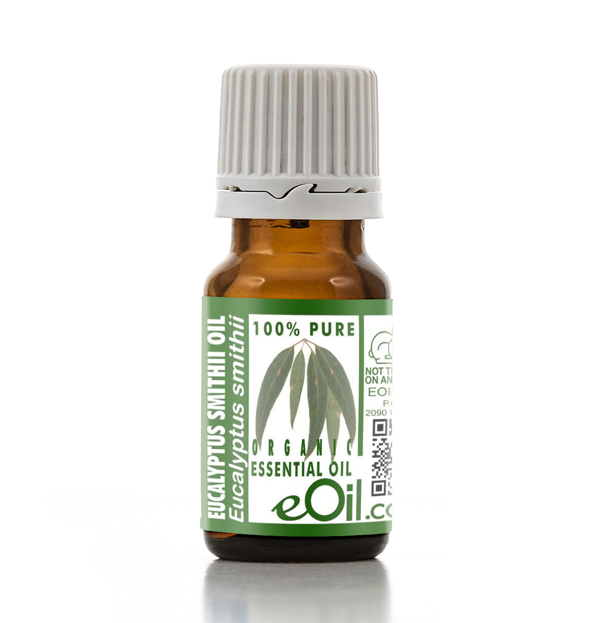 Bottle of eucalyptus essential oil with a white background