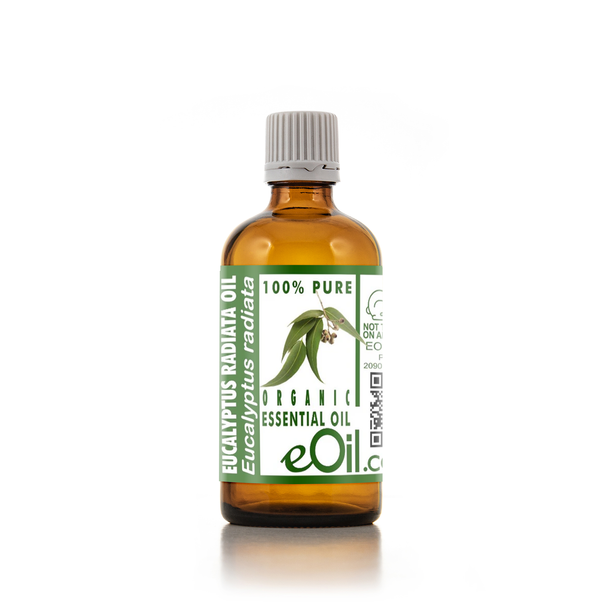 Eucalyptus radiata Essential Oil Organic