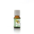 Galbanum Essential Oil Organic, earthy green aromatic oil for blending