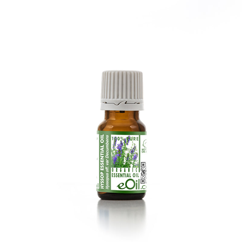 Hyssop Essential Oil Organic, classic herbal aroma for blending and diffuser use