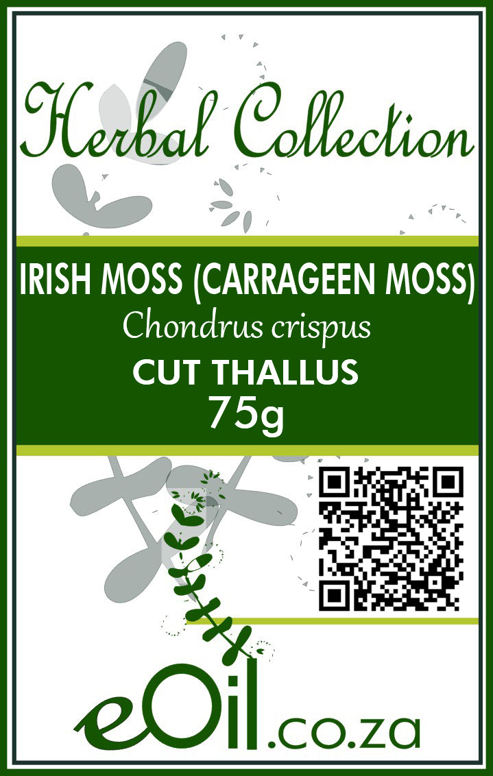 Irish Moss Cut - Dried Carrageen Moss - Chondrus Crispus - 75 g - eOil.co.za