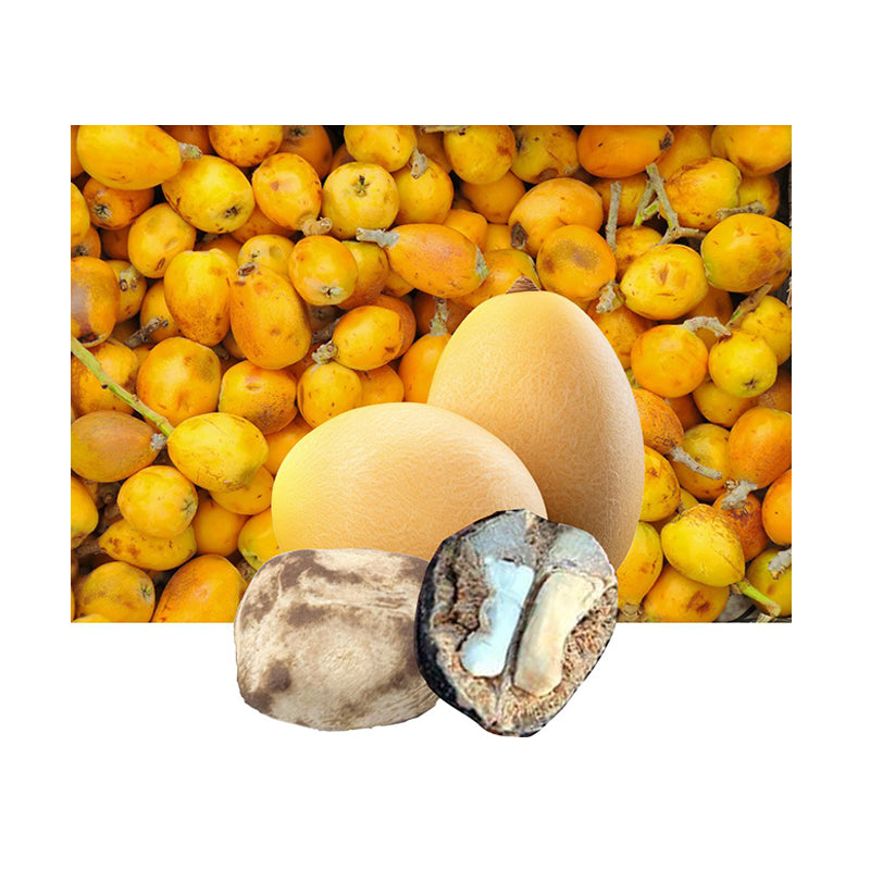 Marula Organic Carrier Oil - eOil.co.za