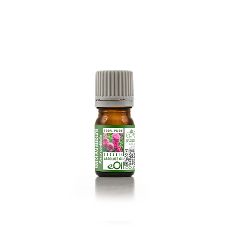Rose de Mai Absolute Oil Organic, lush Provence rose scent for luxurious aromatherapy and skin care