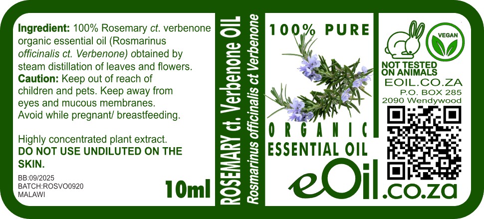 Rosemary Verbenone Organic Essential Oil, fresh herbal note for beauty and wellness