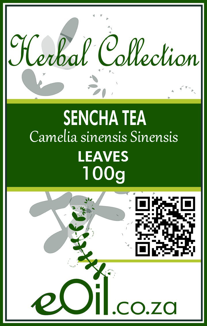Sencha Tea Organic - eOil.co.za