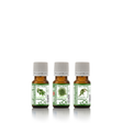 Steam Inhalation Recipe Synergy - Breathe With Ease - Being Well Collection - eOil.co.za
