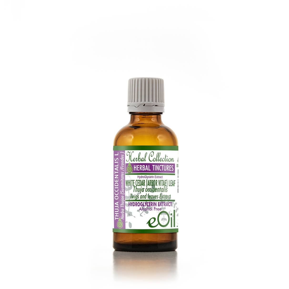 Thuja White Cedar - Liquid Herbal Extract - Vegetable Glycerine - eOil.co.za