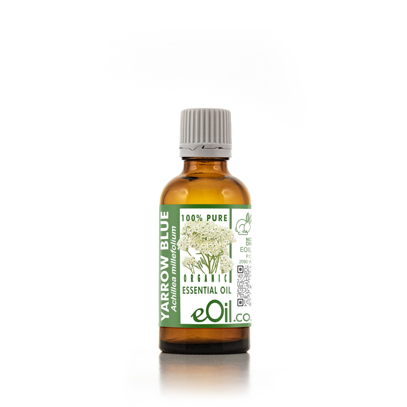 A bottle of eOil Acuminum Essential Oil on a white background. The amber glass bottle has a green and white label with illustrations of yarrow flowers and a gray ribbed cap.