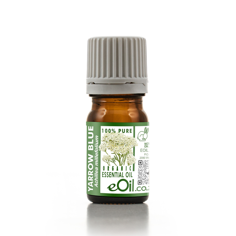 A small amber glass bottle of eOil Co. Yarrow Blue essential oil with a ribbed gray cap and a green and white label, set against a plain white background.