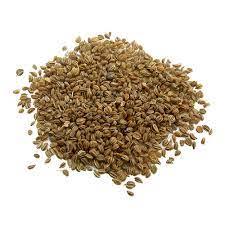 Celery Seeds Whole - 100 g - Herbal Collection - eOil.co.za