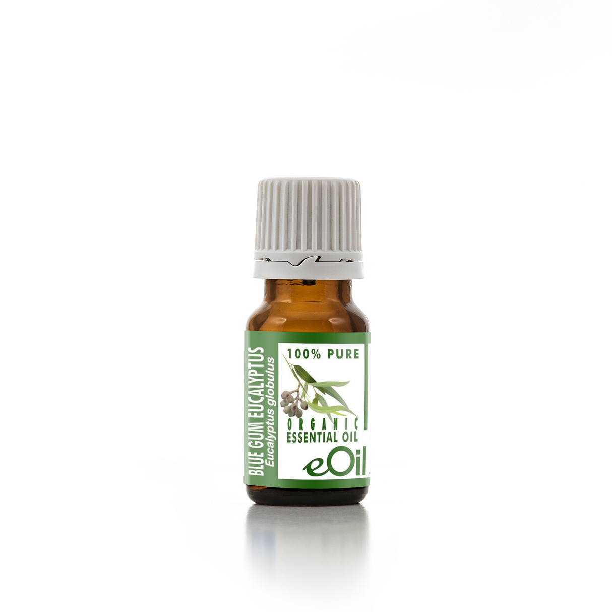 Eucalyptus globulus blue gum Essential Oil Organic, classic oil for respiratory blends in diffuser 10 ml - eOil.co.za