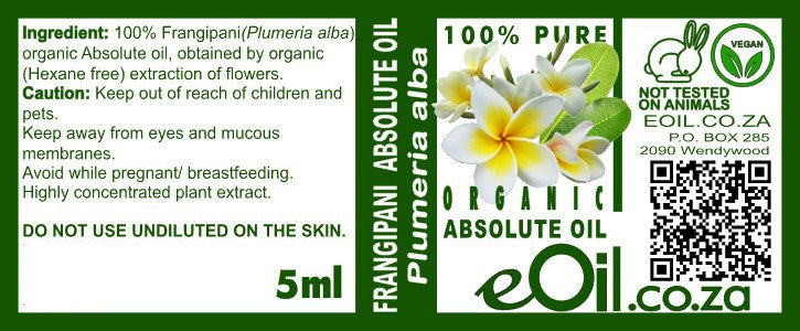 Frangipani Absolute Organic Oil, sweet tropical floral for perfumes, wellness blends, and holistic beauty label