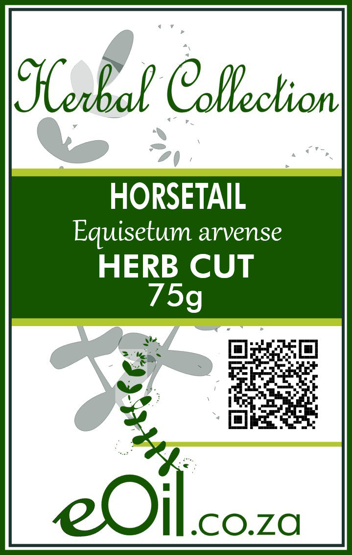 Horsetail Herb Dried Cut - 75 g - Herbal Collection - eOil.co.za