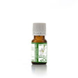 Lily Madonna Absolute Oil Organic, pure white floral for elegant natural perfumes and skin rituals