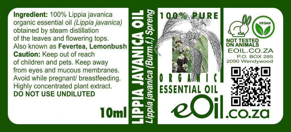 Lippia Javanica Essential Oil Organic, South African wild herb for fresh herbal blends