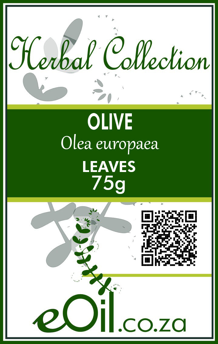 Olive Leaf Cut Dried - 75 g - Herbal Collection - eOil.co.za