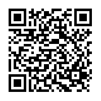 Celery Seeds Whole - 100 g - Herbal Collection - eOil.co.za