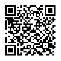 Devil's Claw Tea cut - 100 g - Herbal Collection - eOil.co.za