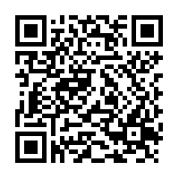 Dried Olive Leaf Cut - 75 g - Herbal Collection - eOil.co.za