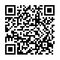 Eucalyptus cut tea - 75 g - Herbal Collection - eOil.co.za