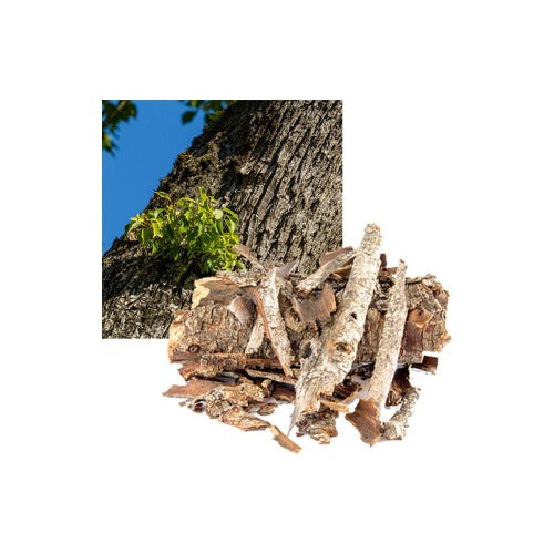 eOil.co.za Ho Wood essential oil for well being, massage, body care, beauty, diffusion, inhalation, spray, homecare.