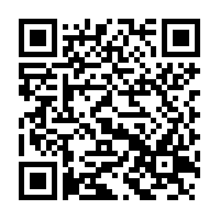 Horsetail Herb Dried Cut - 75 g - Herbal Collection - eOil.co.za