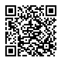 Nettle Stinging Herb - 60 capsules - Herbal Collection - eOil.co.za