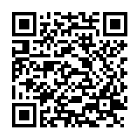 Spearmint Leaves Dried - 75 g - Herbal Collection - eOil.co.za