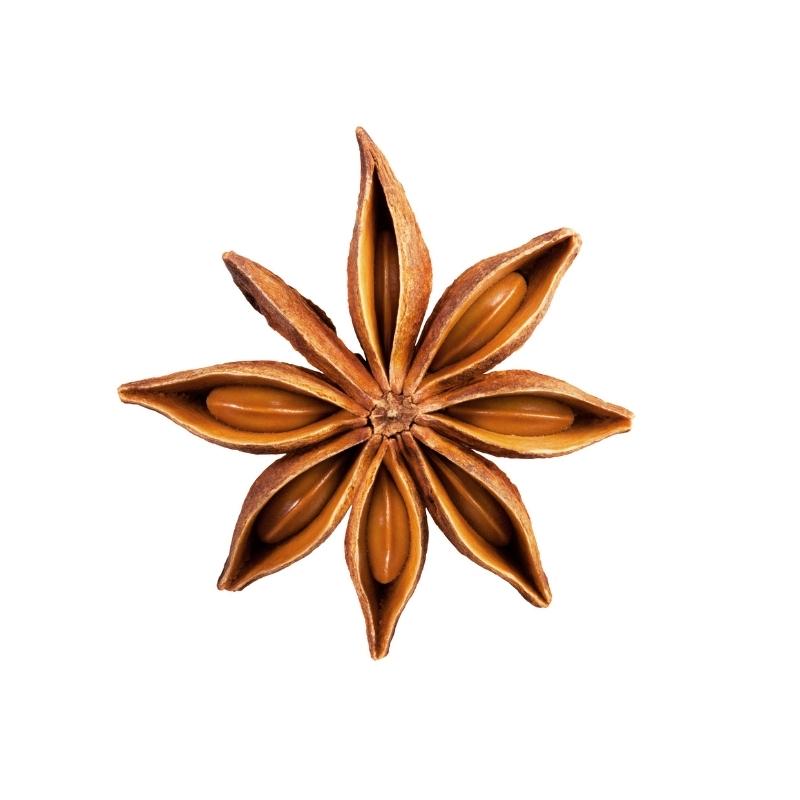 Star Anise Organic Essential Oil - 10 ml - eOil.co.za