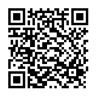 Wild Chicory Herb - 75 g - Herbal Collection - eOil.co.za