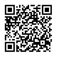 Yucca Root Powder - 100 g - Herbal Collection - eOil.co.za