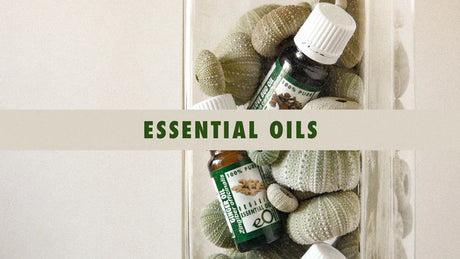 TIPS ON HOW TO EXTEND THE USE YOUR ESSENTIAL OILS & ABSOLUTES OILS