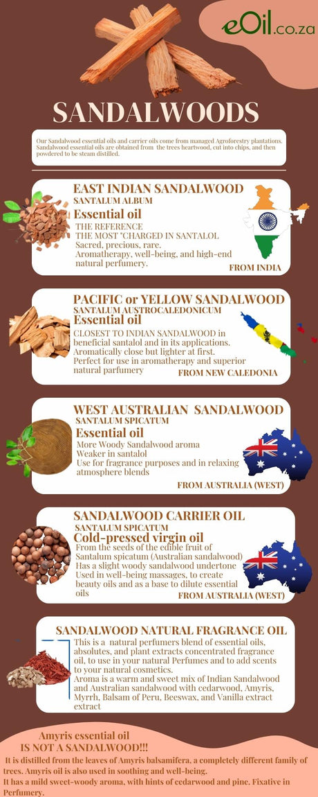 TRUE SANDALWOODS: THE DIFFERENT SPECIES, THEIR QUALITY, THEIR EXTRACTS & THEIR APPLICATIONS