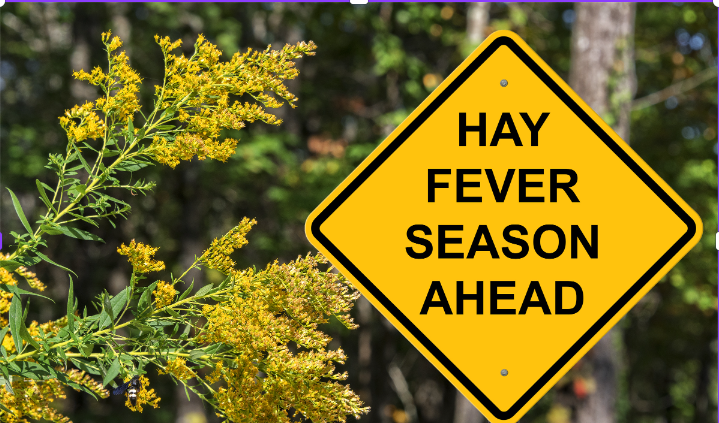 Allergy Alert: Combating Pollen Naturally