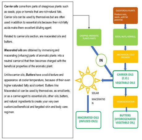 CARRIER OILS MACERATED OILS AND BUTTERS - by eOil.co.za
