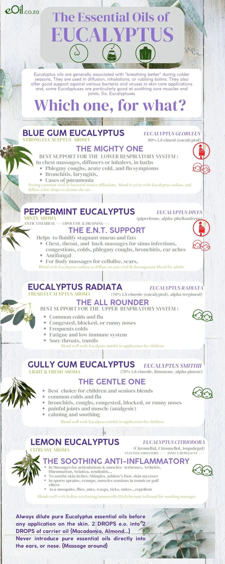 Eucalyptus Essential Oils